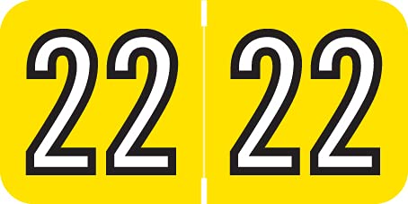 Doctor Stuff - 2022 Year Labels for File Folders, Barkley FYBAM Compatible, Yellow/Black End Tab Stickers, 500/Roll (3/4