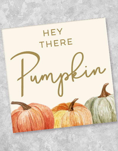 Hey There Pumpkin Beverage Napkins (44 Count) - Fall Thanksgiving Party Paper Napkins for Coffee, Tea, and Seasonal Drinks