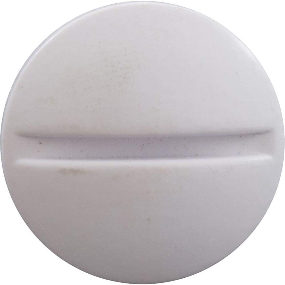 Polaris Pool Cleaner Wheel Screw - Replacement Part for Custom Molded Pool Cleaners - Durable & Corrosion-Resistant for Swimming Pool Maintenance