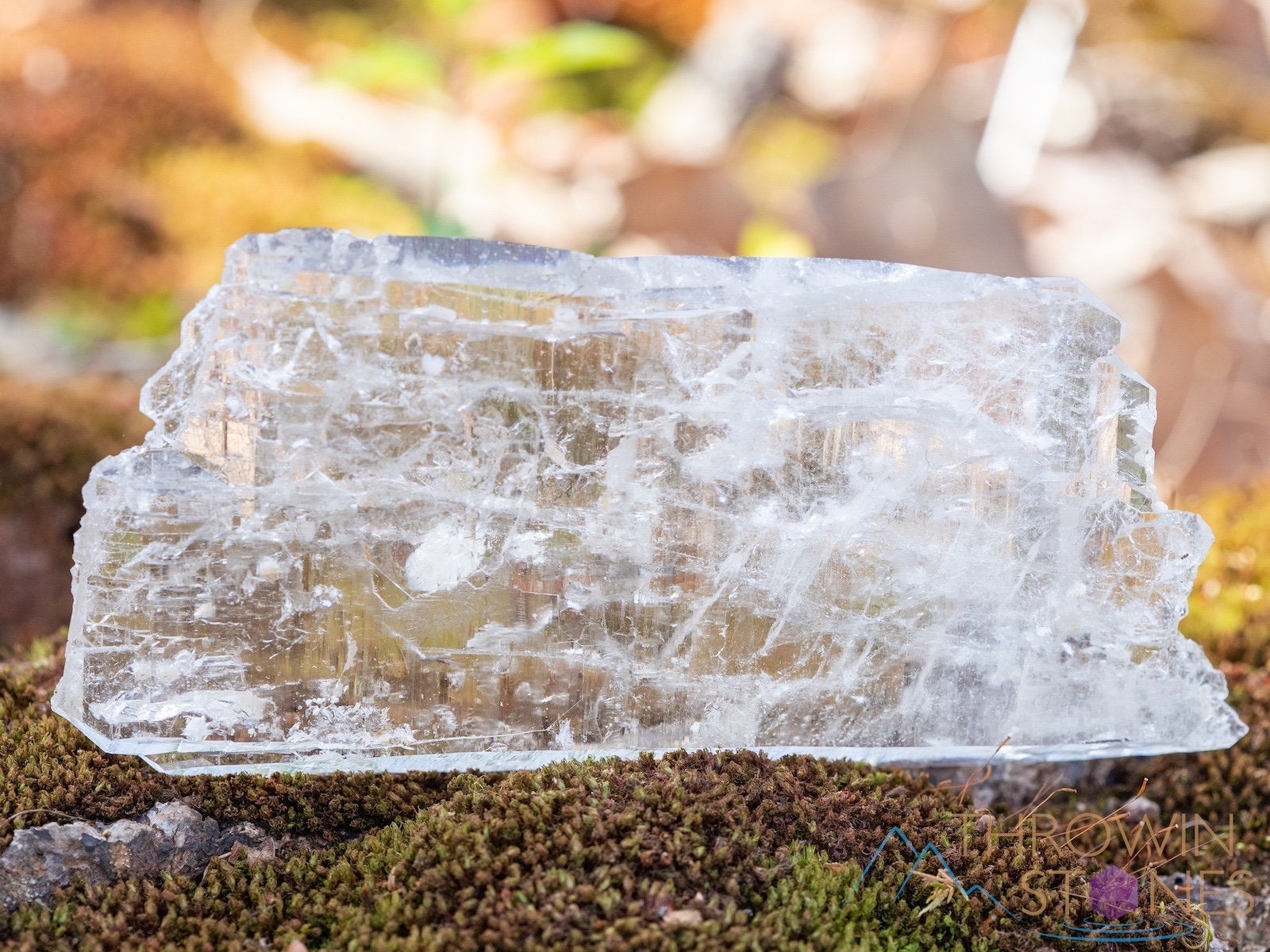 Elestial Quartz Sheet | Natural Raw Crystal for Home Decor, Housewarming Gift & Healing Stones (39761) - Perfect for Meditation, Feng Shui & Spiritual Healing