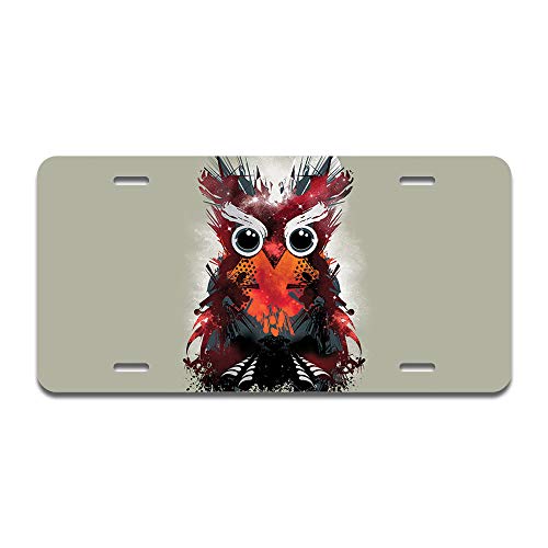 Owl Universe