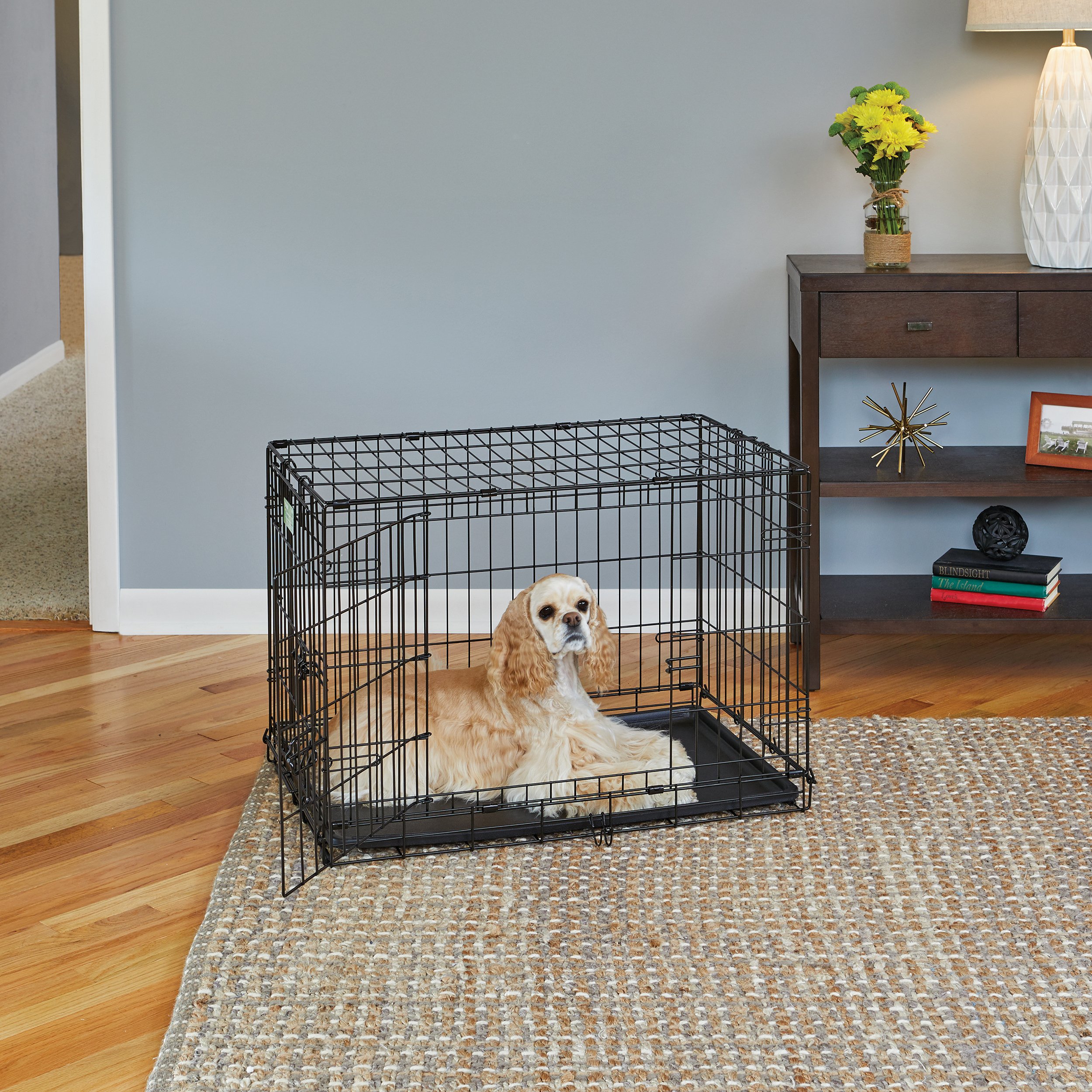 MidWest Homes for Pets Medium Dog Crate - 30 Inch Double Door Folding Metal Dog Kennel with Divider Panel & Floor Protectors | Ideal for Training, Travel & Home Use | 30.6L x 19.3W x 21.4H Inches