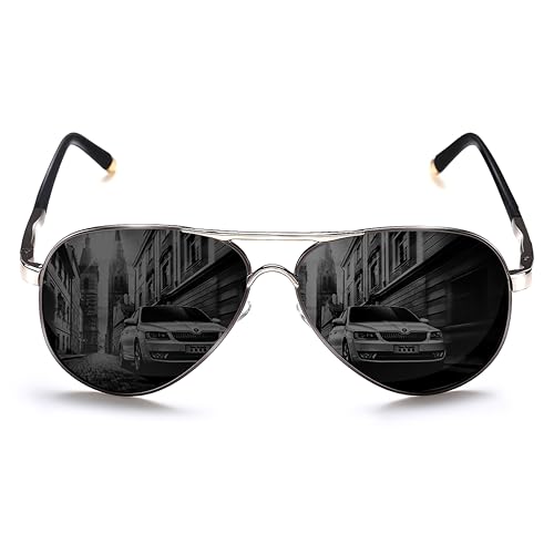 Silver Ruthenium Frame/Gray Lens(not Mirror)