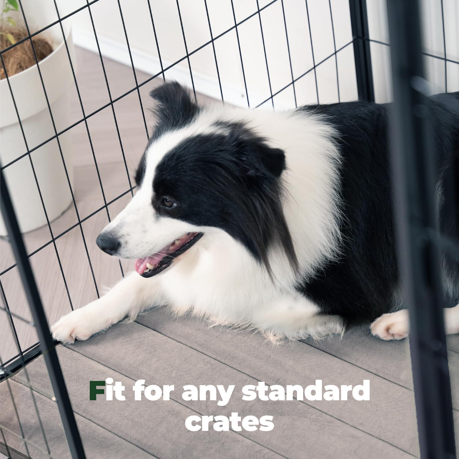 BALANCE Dog Crate Pad - Washable Water-Resistant Foam Kennel Mat for Medium Dogs | Comfortable Pet Bed for Crate Training, Travel & Home Use