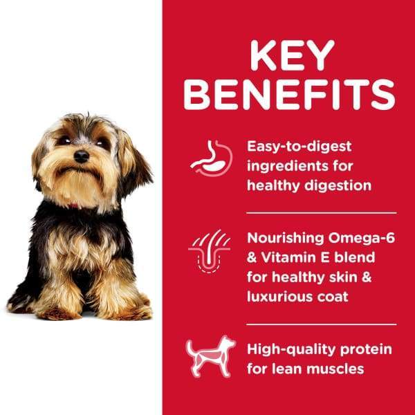 Science Diet Adult Small Paws Lamb Meal & Brown Rice Recipe Dry Dog Food 4.5lbs - Premium Nutrition for Small Breed Dogs - Perfect for Home Feeding & Travel Portions
