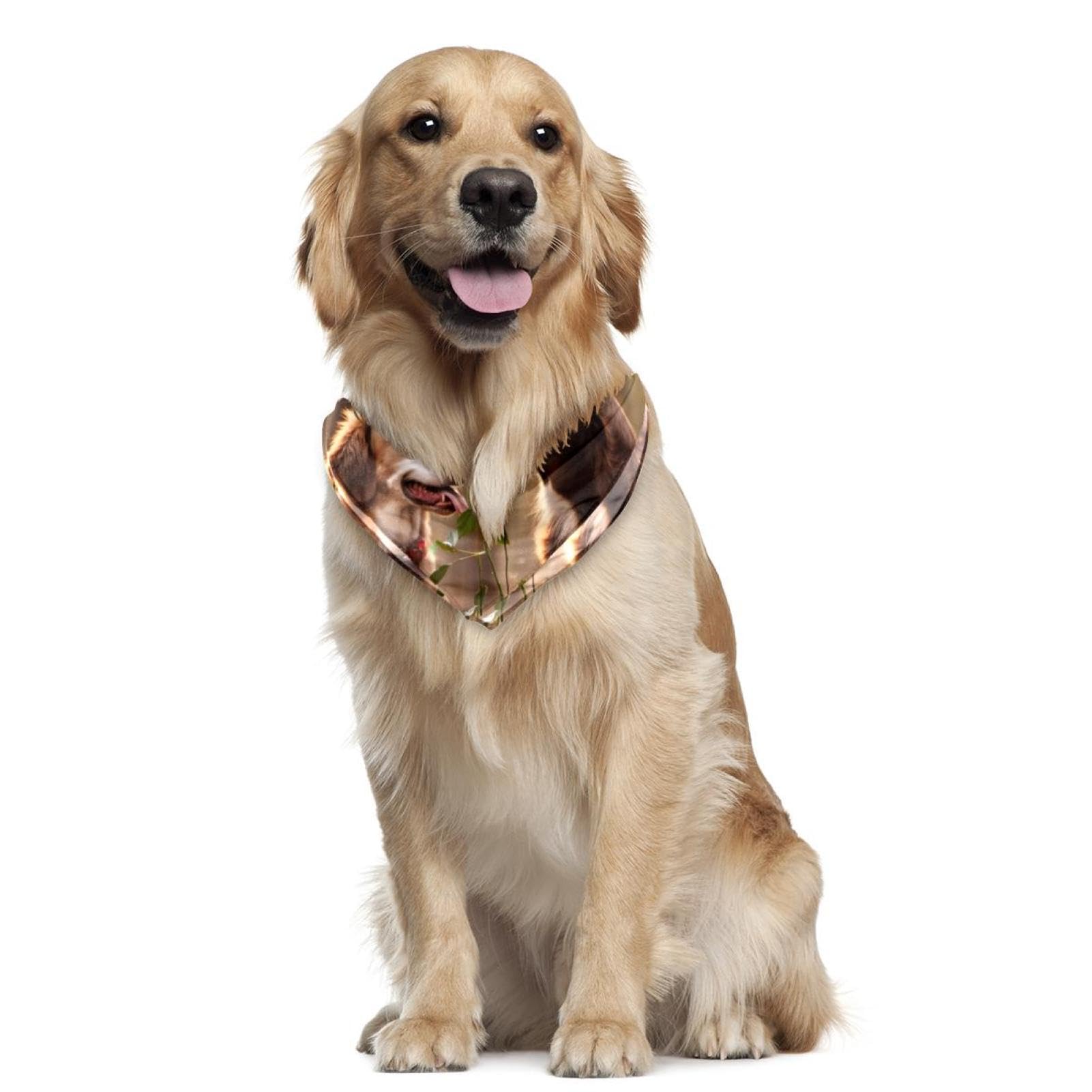 Stylish Dog Bandanas for Small, Medium & Large Pets - 2-Piece Floral Pet Scarf Set for Dogs & Cats | Perfect for Outdoor Adventures, Pet Photos & Special Occasions