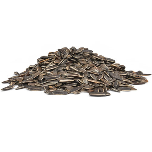 Premium Striped Sunflower Wild Bird Seed - 5 lb Bag for Attracting Cardinals, Finches & Songbirds | Backyard Bird Feeding & Wildlife Garden