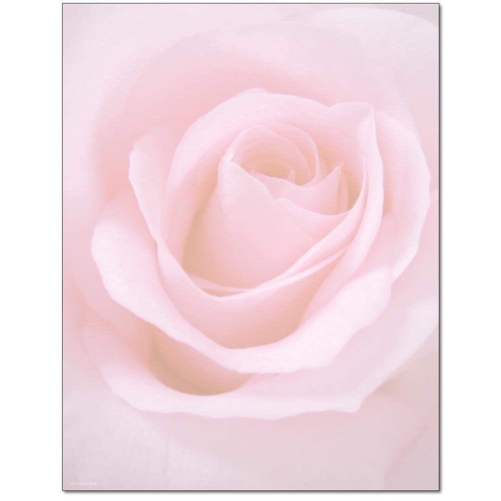 Premium Blushing Rose Letterhead Paper - 100 Sheets for Laser & Inkjet Printers - Perfect for Wedding Invitations, Business Stationery, and Elegant Correspondence