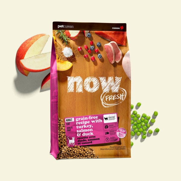Premium Now Fresh Turkey, Salmon & Duck Recipe Adult Dry Cat Food - Grain-Free Protein Rich Kibble for Indoor & Outdoor Cats - Supports Healthy Digestion & Shiny Coat