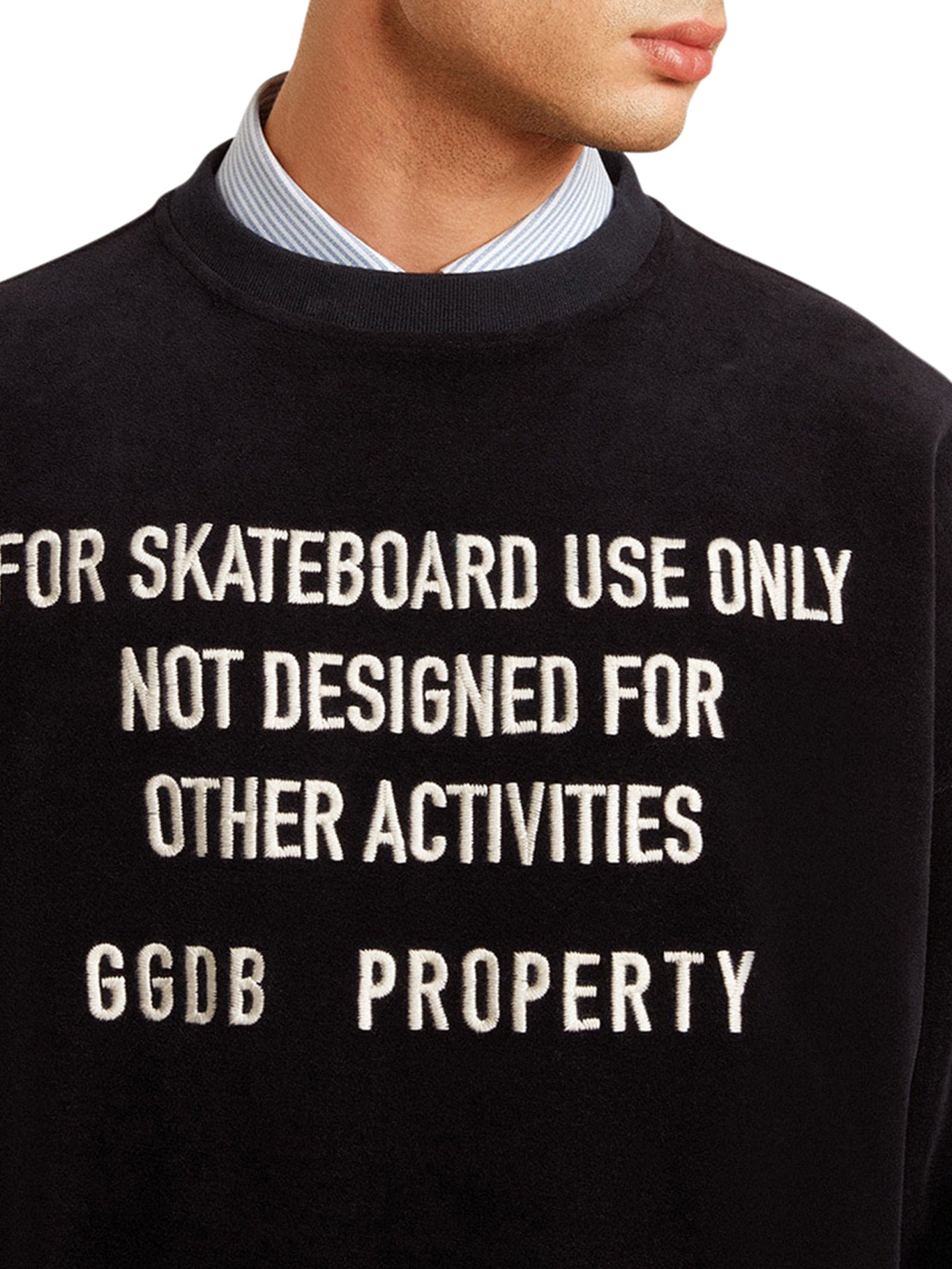 Soft Chenille Crew Neck Sweatshirt with Embroidered Design - Cozy & Stylish for Casual Wear, Loungewear, and Everyday Outfits