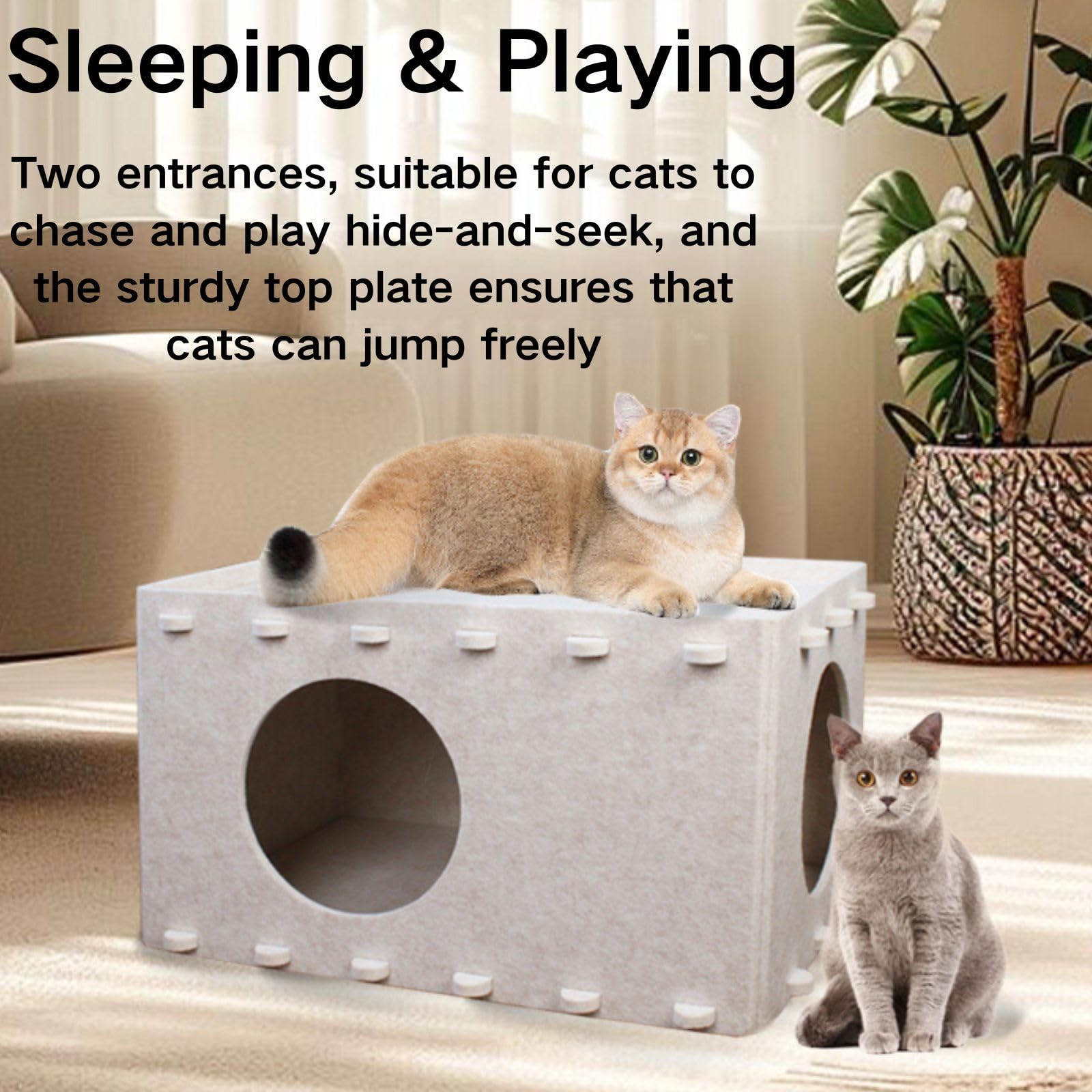 Premium Cat Bed for Indoor Cats - Large & Multi-Cat Scratch-Resistant Cave Hideaway (22x14.2x12 Inch, Cream) | Cozy Pet Furniture for Lounging, Napping & Playtime