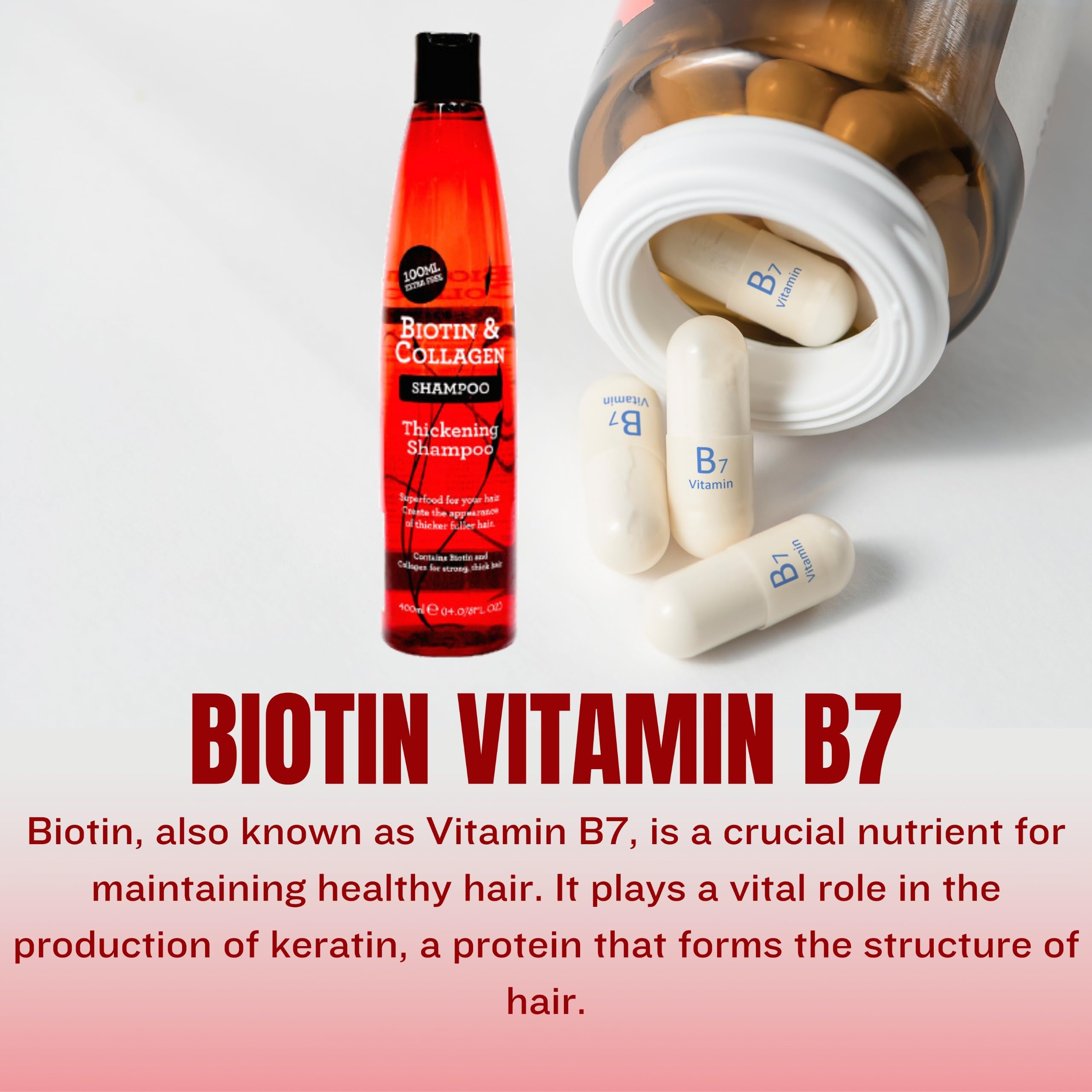 XPEL Biotin & Collagen Thickening Shampoo for Women & Men - Anti Hair Loss with Vitamin B7 & Wheat Protein | Paraben-Free Formula Promotes Hair Growth & Reduces Hair Fall | 400ml | Perfect for Daily Use & Thinning Hair Care