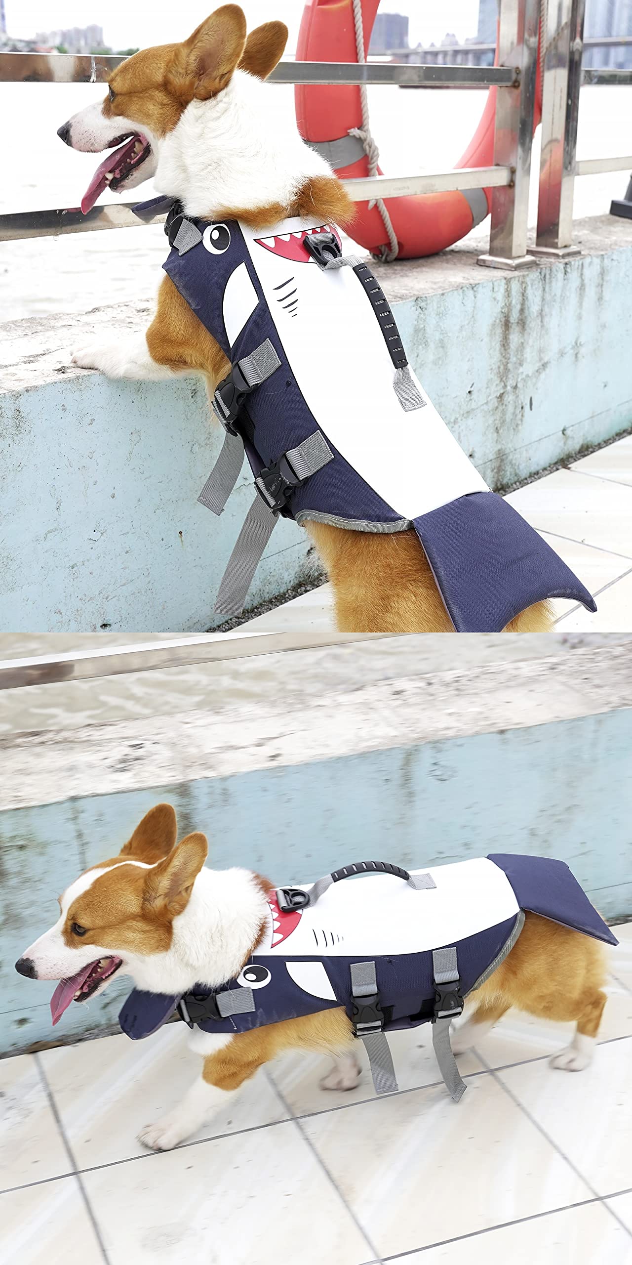 **Cartoon Shark Dog Life Jacket - Adjustable Pet Floatation Safety Vest with Rescue Handle & D-Ring for Swimming & Boating - Small, Medium, Large Sizes (Small) - Perfect for Beach, Pool & Boat Adventures**