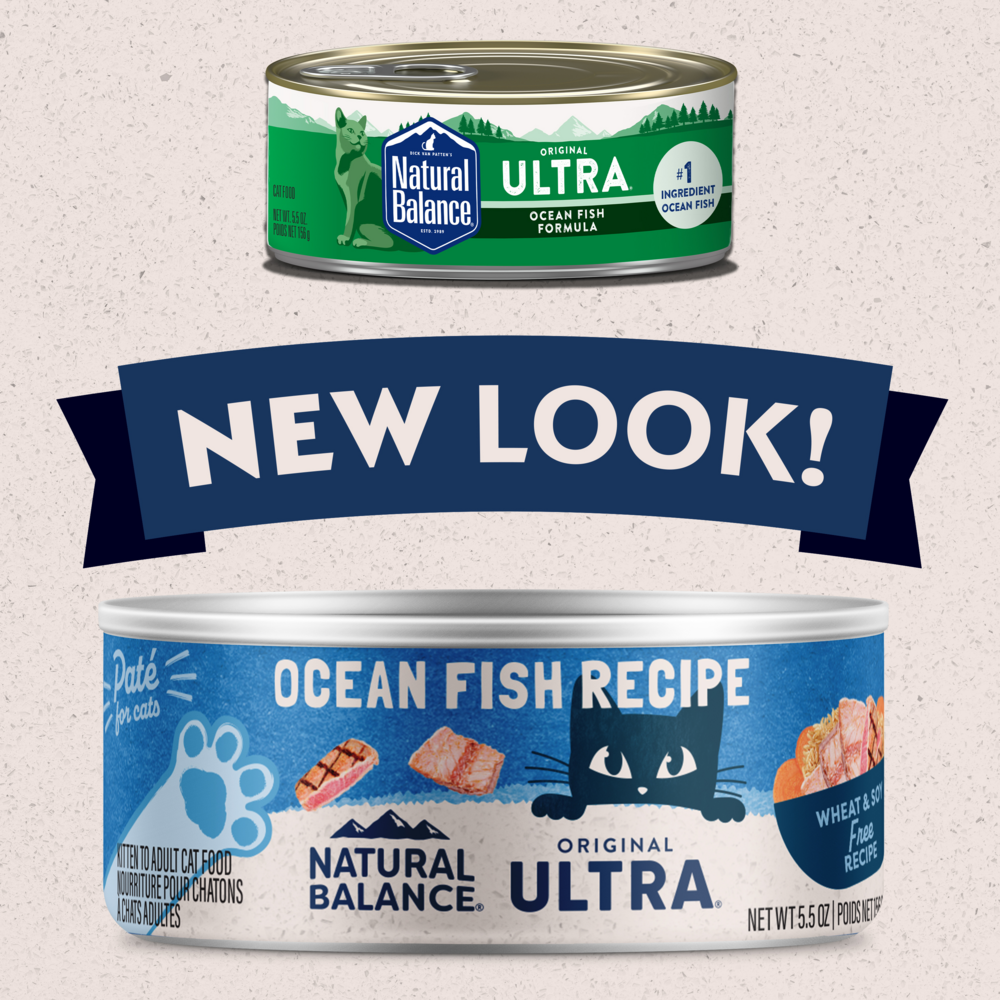 Natural Balance Original Ultra Ocean Fish Recipe Canned Wet Cat Food - High Protein Grain-Free Wet Food for Adult Cats - Perfect for Picky Eaters & Sensitive Stomachs