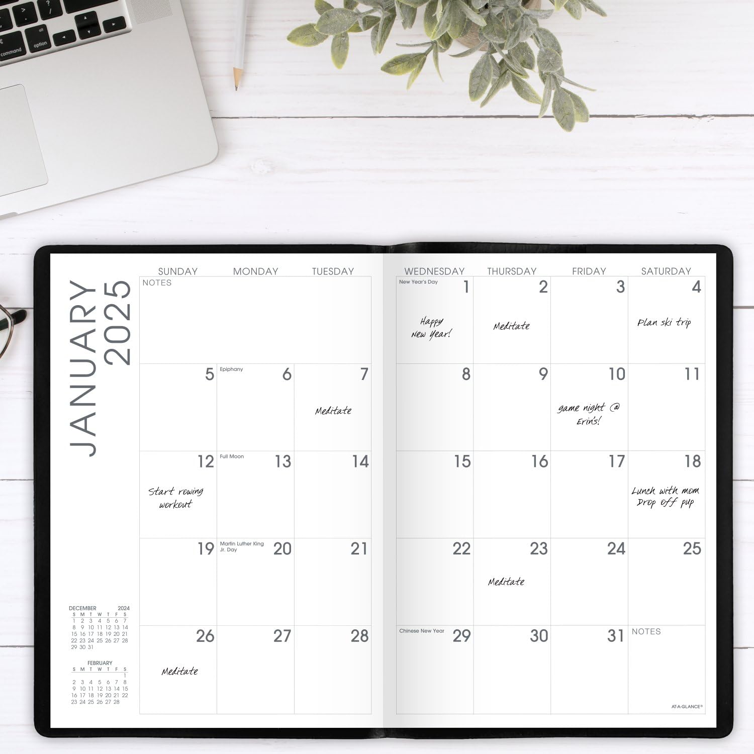 AT-A-GLANCE 2025 Monthly Planner - 7
