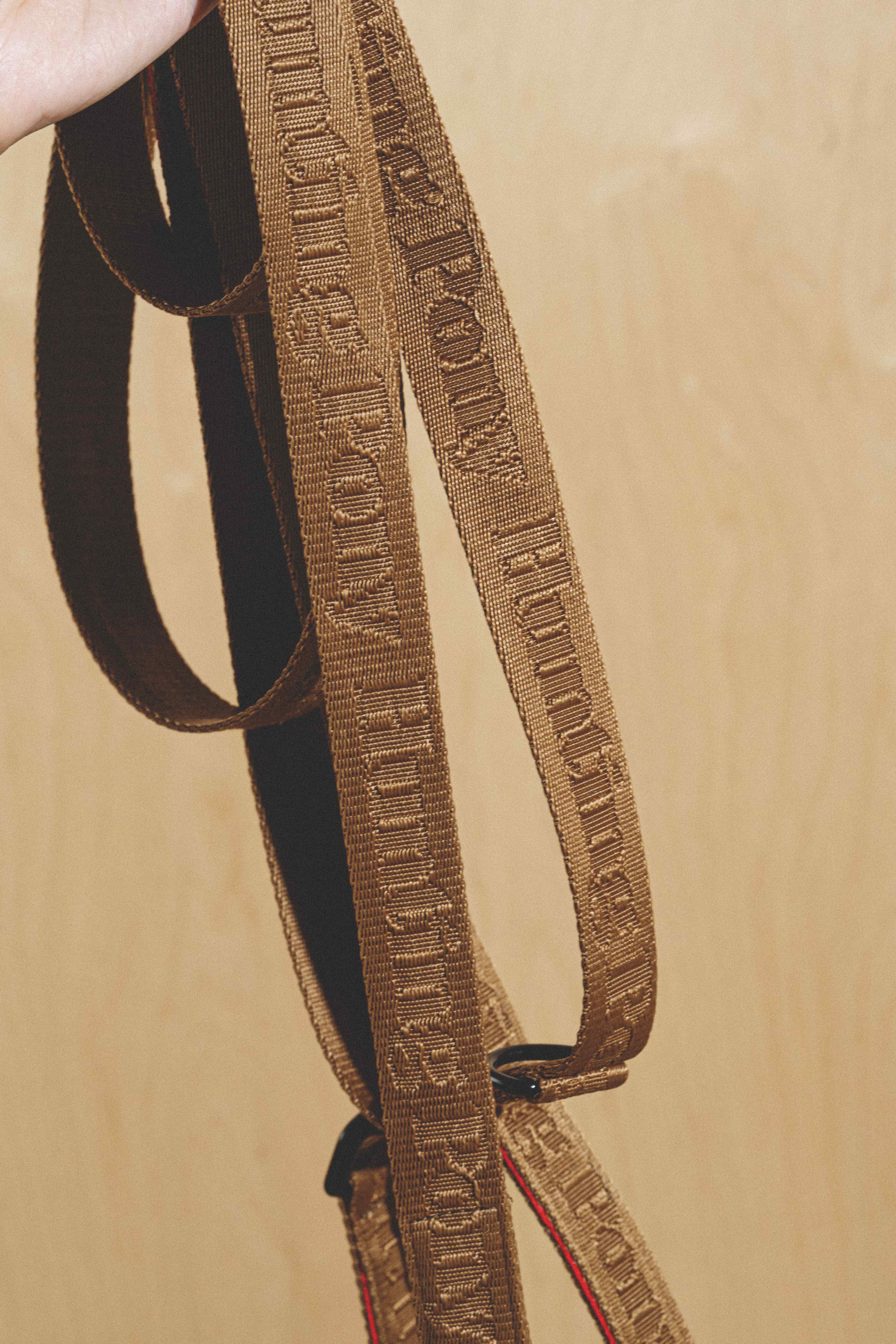 Best Dog Running Leash - Pony Companiony Ginger for Active Pets | Perfect for Jogging, Hiking & Outdoor Adventures