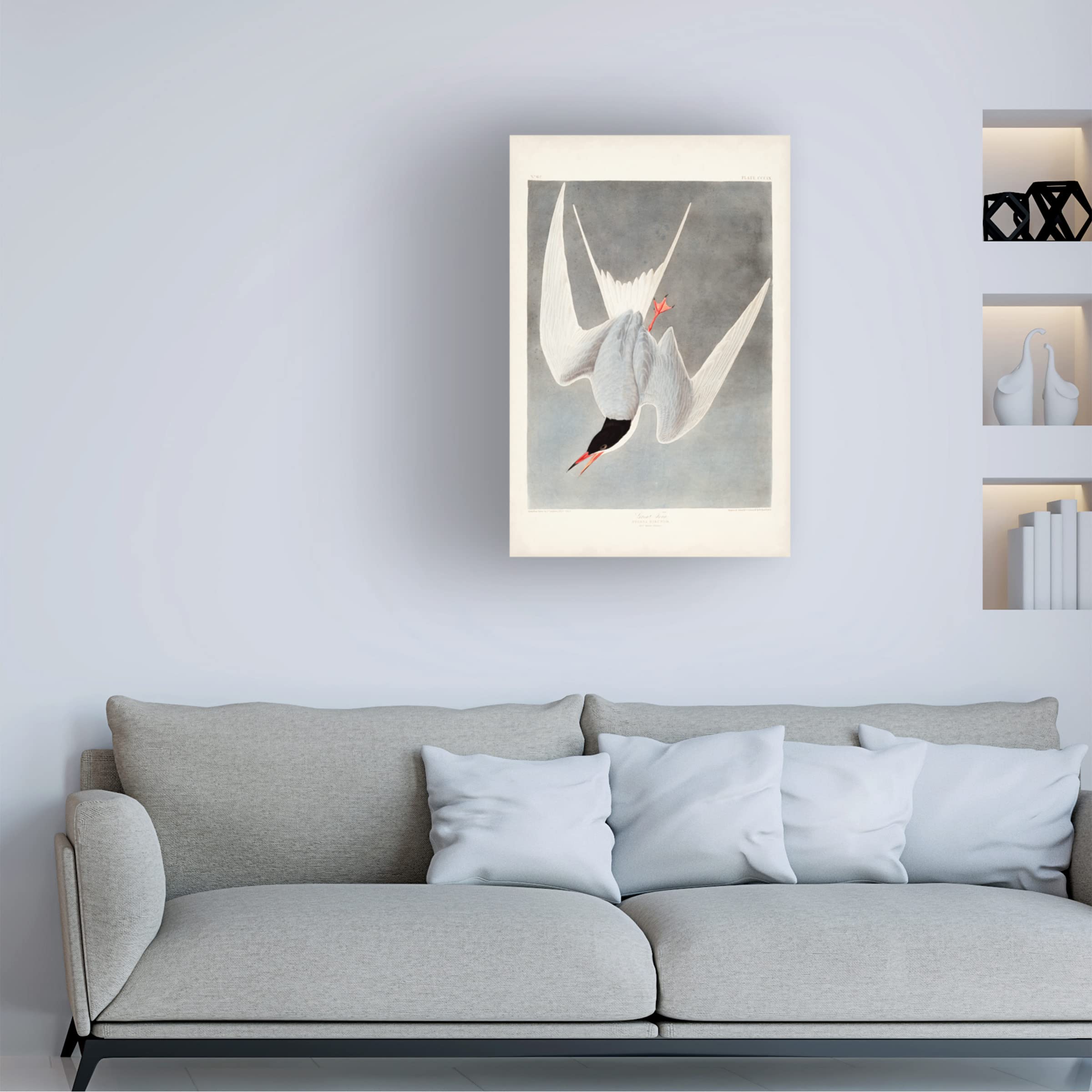 John James Audubon 'Great Tern' Canvas Wall Art Print - 30x47 Inches - Premium Wildlife Bird Painting for Living Room, Bedroom & Office Decor