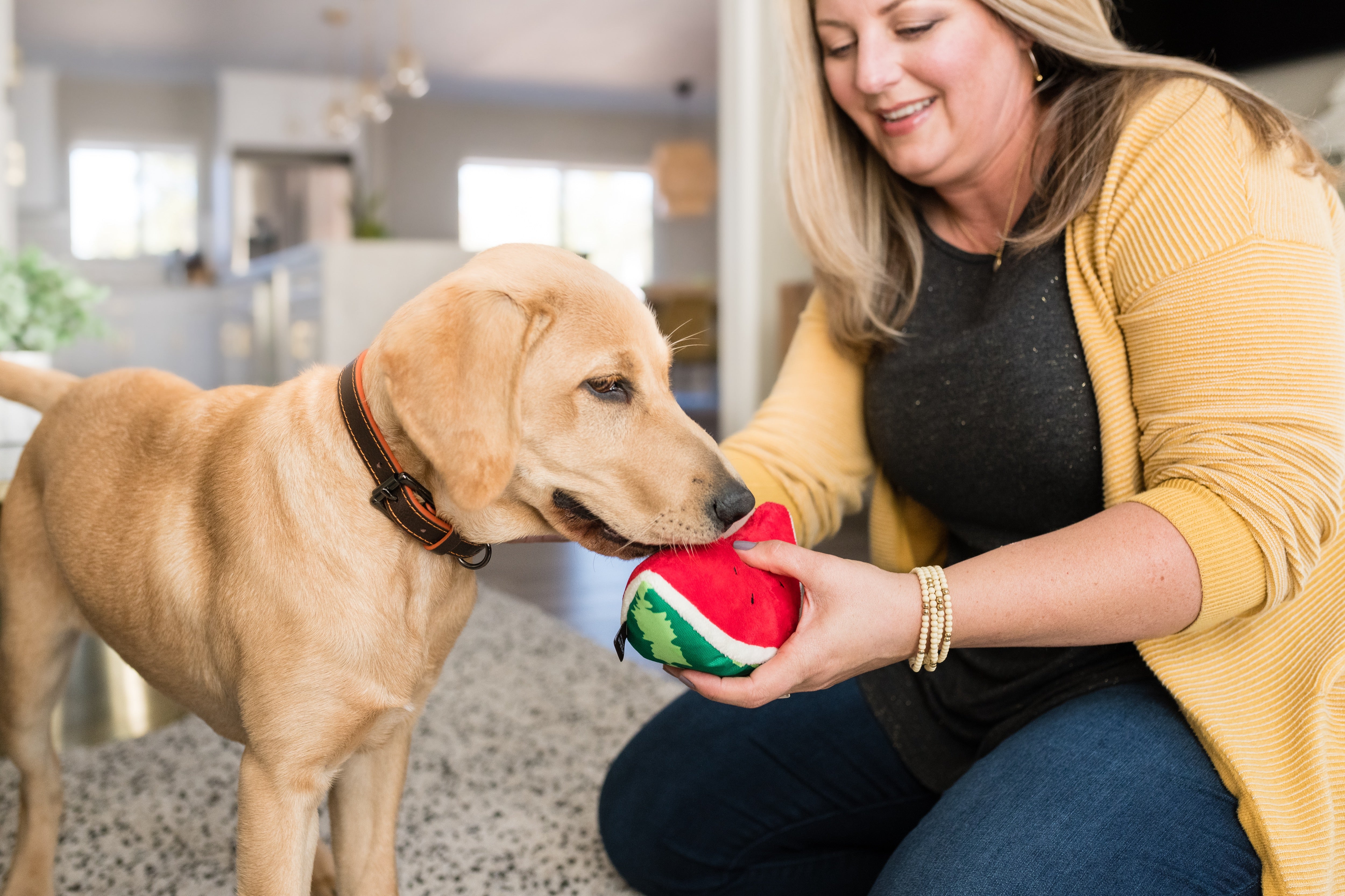 Tropical Paradise™ Watermelon Dog Plush Toy - Durable & Fun Chew Toy for Small & Large Dogs | Perfect for Playtime, Training & Cuddling | Pet P.L.A.Y.