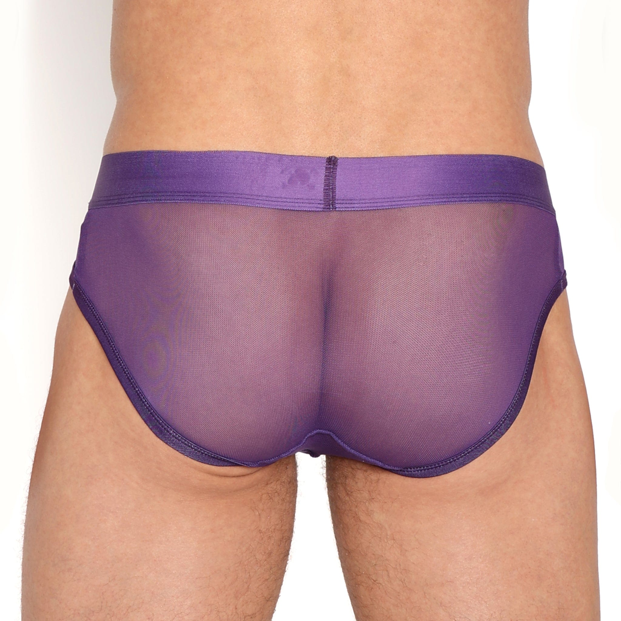 Just The Bones Sheer Brief Purple - Sexy Lingerie Panties for Women, Comfortable & Breathable Underwear - Perfect for Date Night, Boudoir, or Everyday Wear