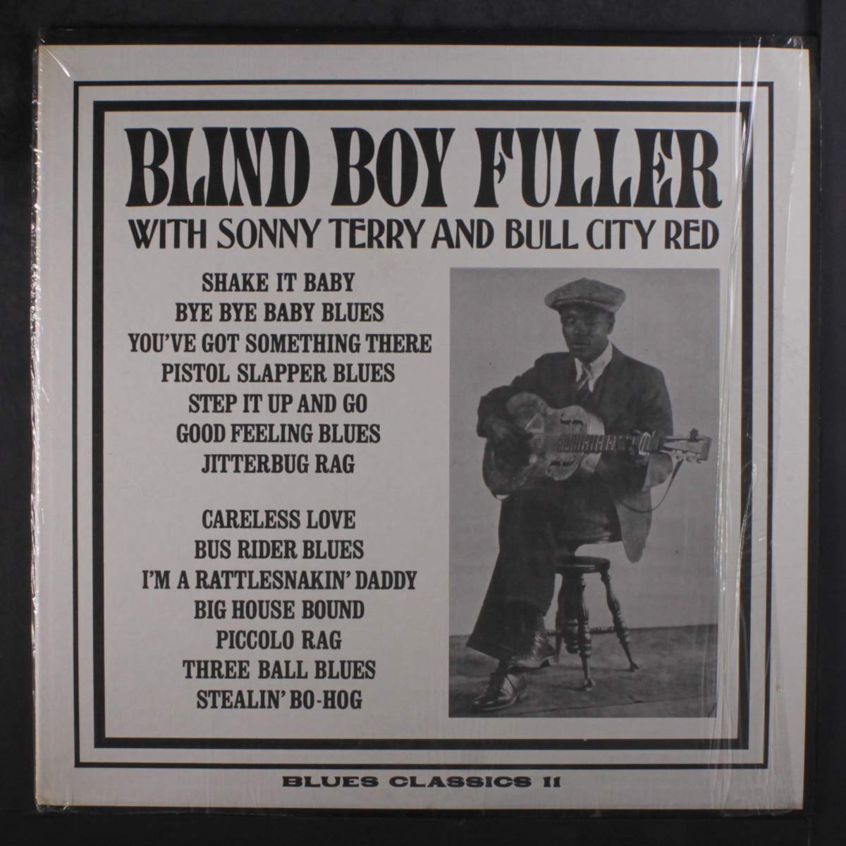 Sonny Terry & Bull City Red - Authentic Blues Harmonica Music for Relaxation & Study | Perfect for Blues Lovers & Music Enthusiasts