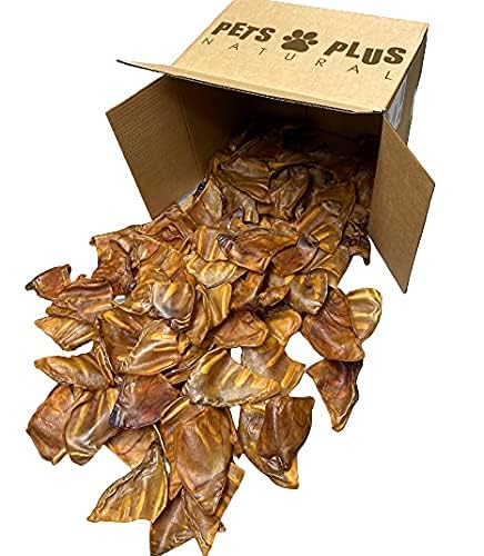 All Natural Jumbo Whole Pig Ears for Dogs - 100% Natural Pork Ear Dog Treats by Pets Plus Natural, 2.5 Pound (Pack of 1) - Long-Lasting Chew for Dental Health & Anxiety Relief