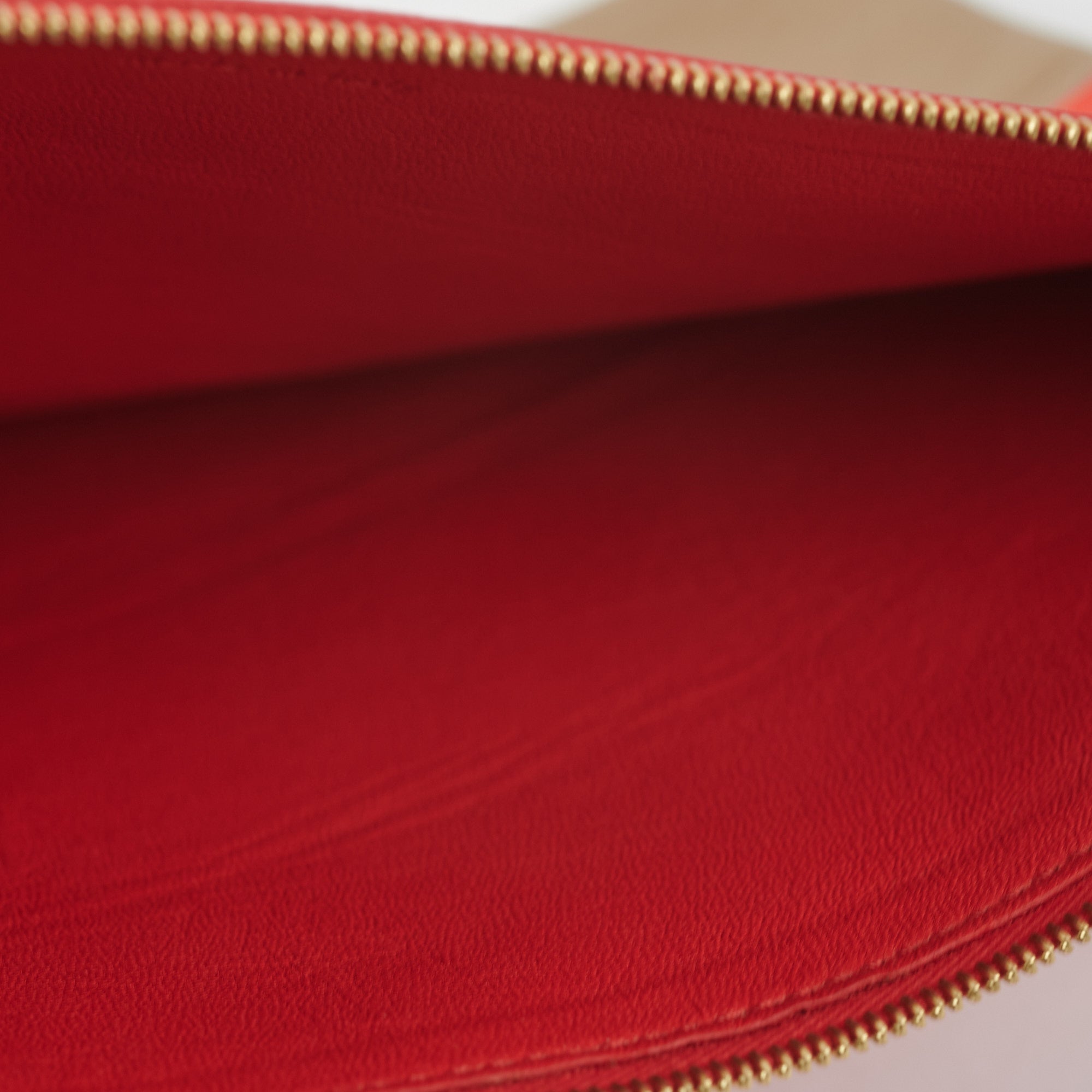 Celine Leather Pouch Handbag in Red/Taupe - Stylish Crossbody Bag for Women, Perfect for Work, Travel & Evening Out