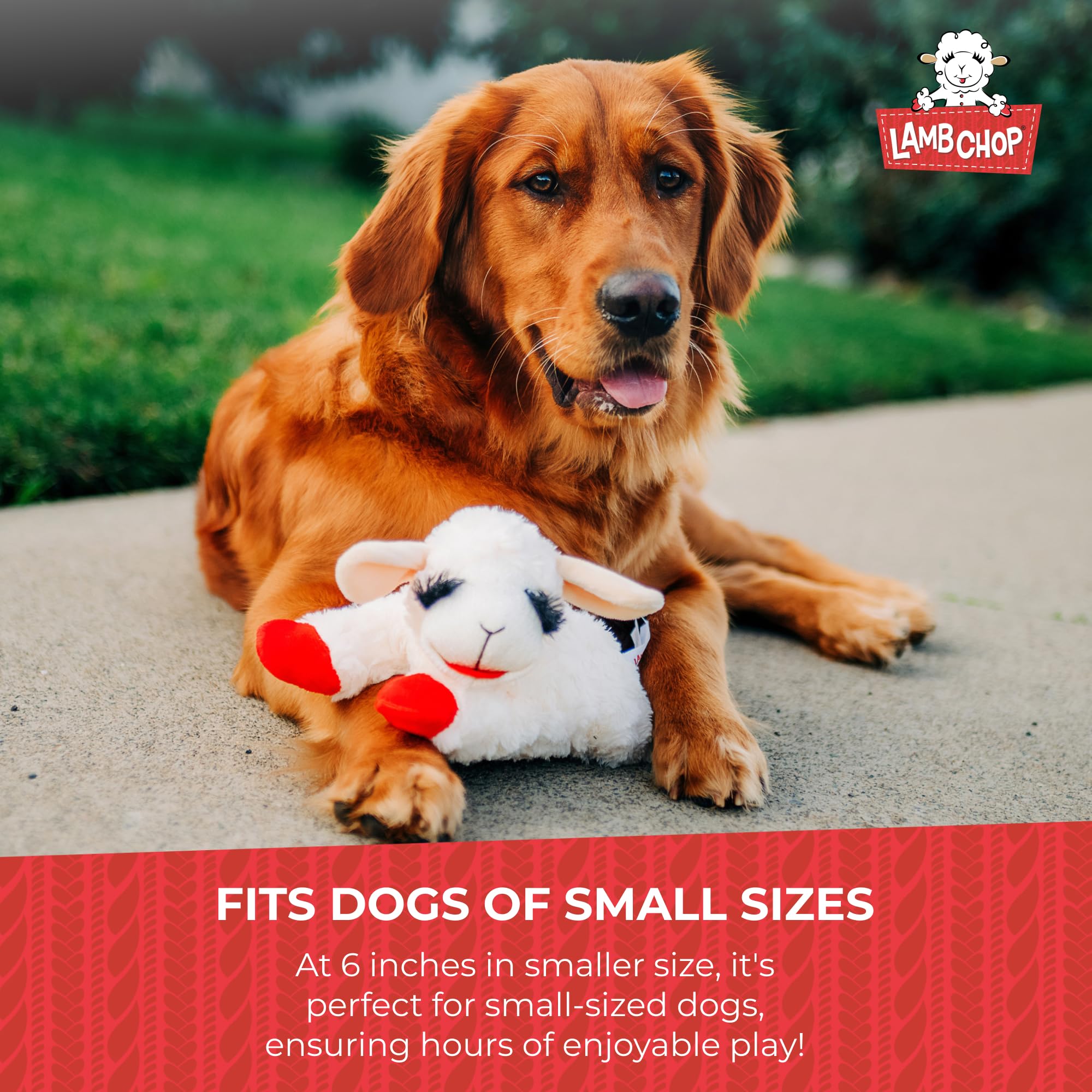 Multipet Lamb Chop Squeaky Dog Toy - 6