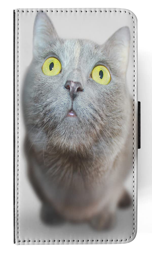 Adorable Grey Cat Kitten Flip Wallet Phone Case for Apple iPhone X & Xs - Perfect for Cat Lovers & Everyday Use