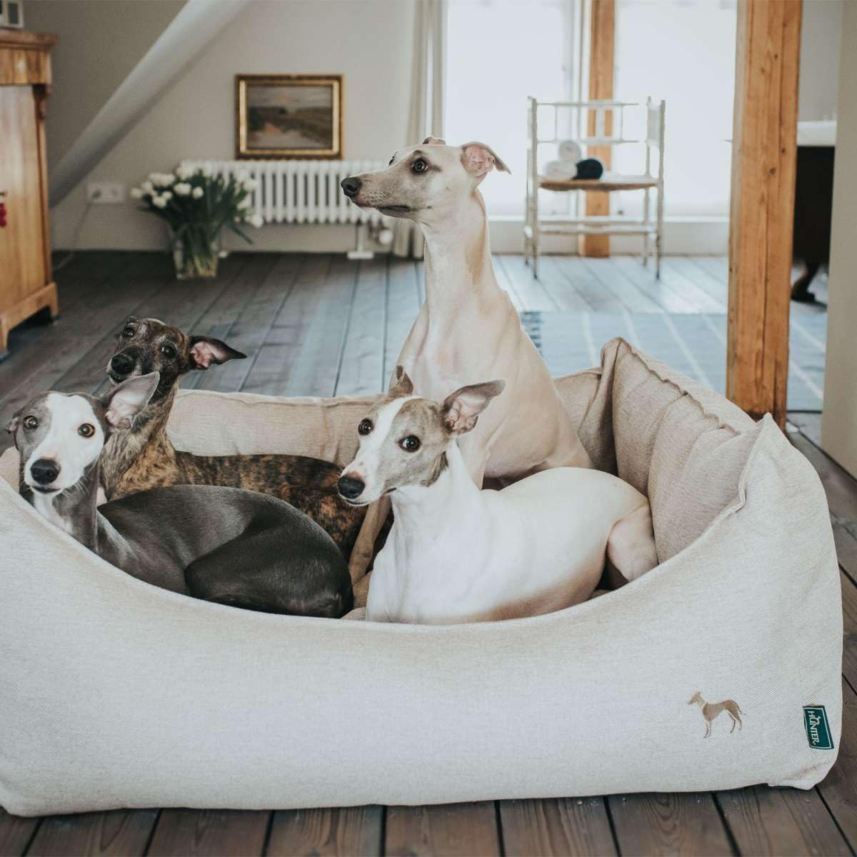 HUNTER Living 60857 Orthopedic Dog Bed for Large Dogs, 80 x 59 x 24 cm, Beige Washable Pet Bed - Perfect for Living Room, Bedroom & Kennel Comfort