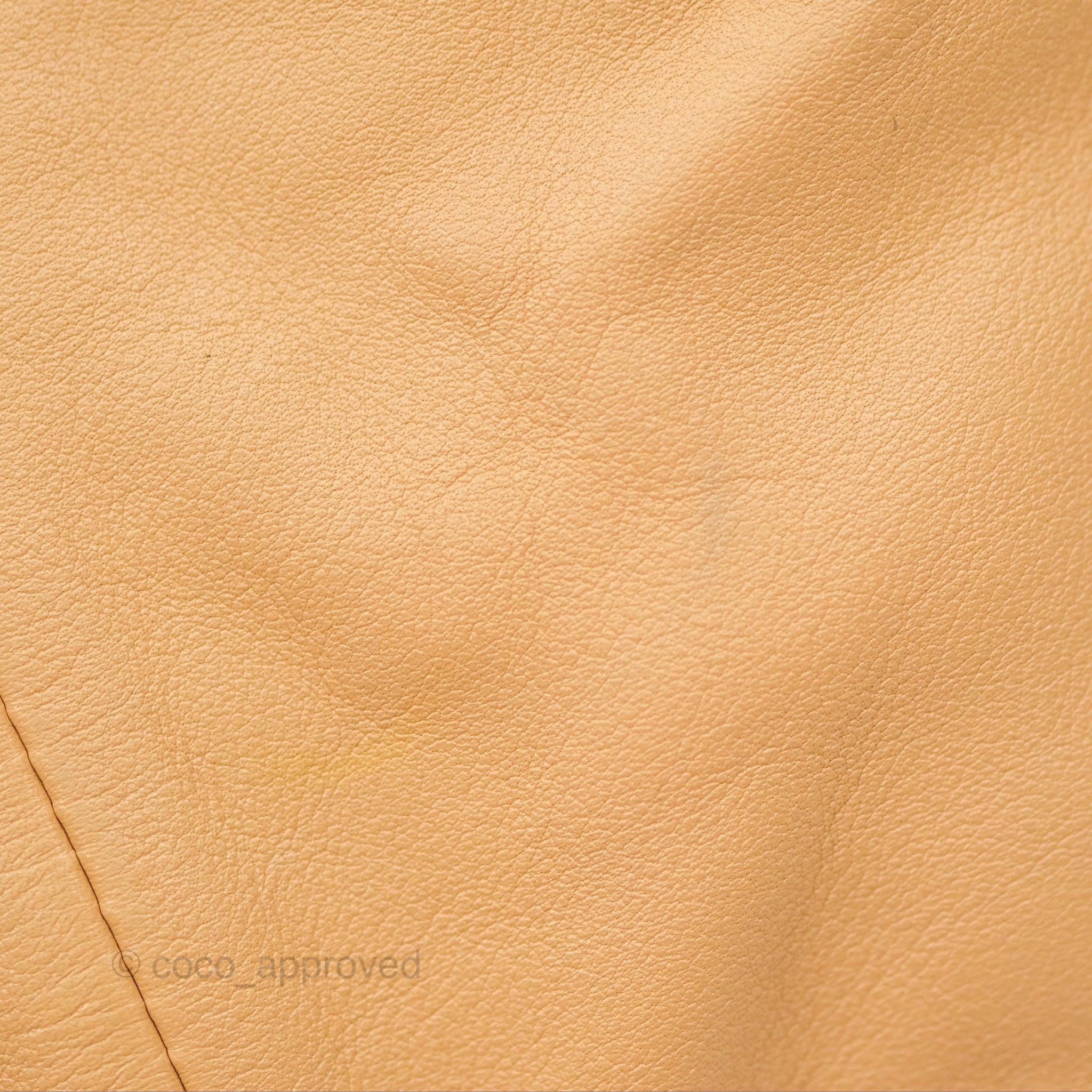 Bottega Veneta Teen Double Knot Hobo Bag - Almond Calfskin Leather Shoulder Bag for Women | Perfect for Work, Travel & Everyday Use