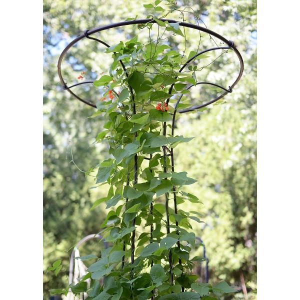 Organic Mushroom Trellis Kit for Home Gardening - Grow Oyster & Shiitake Mushrooms Easily | Perfect for Indoor/Outdoor Mushroom Cultivation, Backyard Farming & Sustainable Living