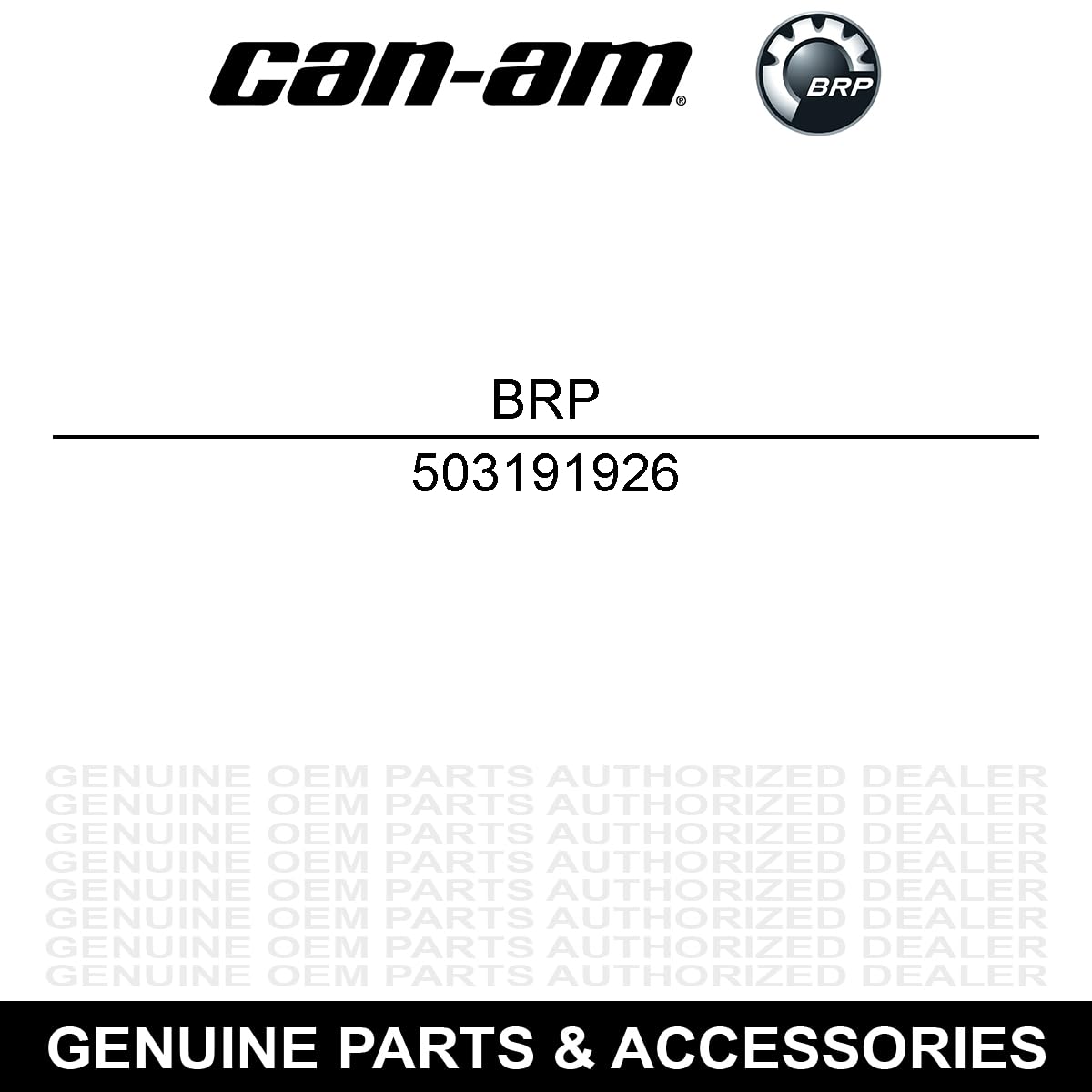 New OEM Can-Am Rondelle Washer 503191926 - Genuine Replacement Part for ATV & Motorcycle Maintenance & Repair