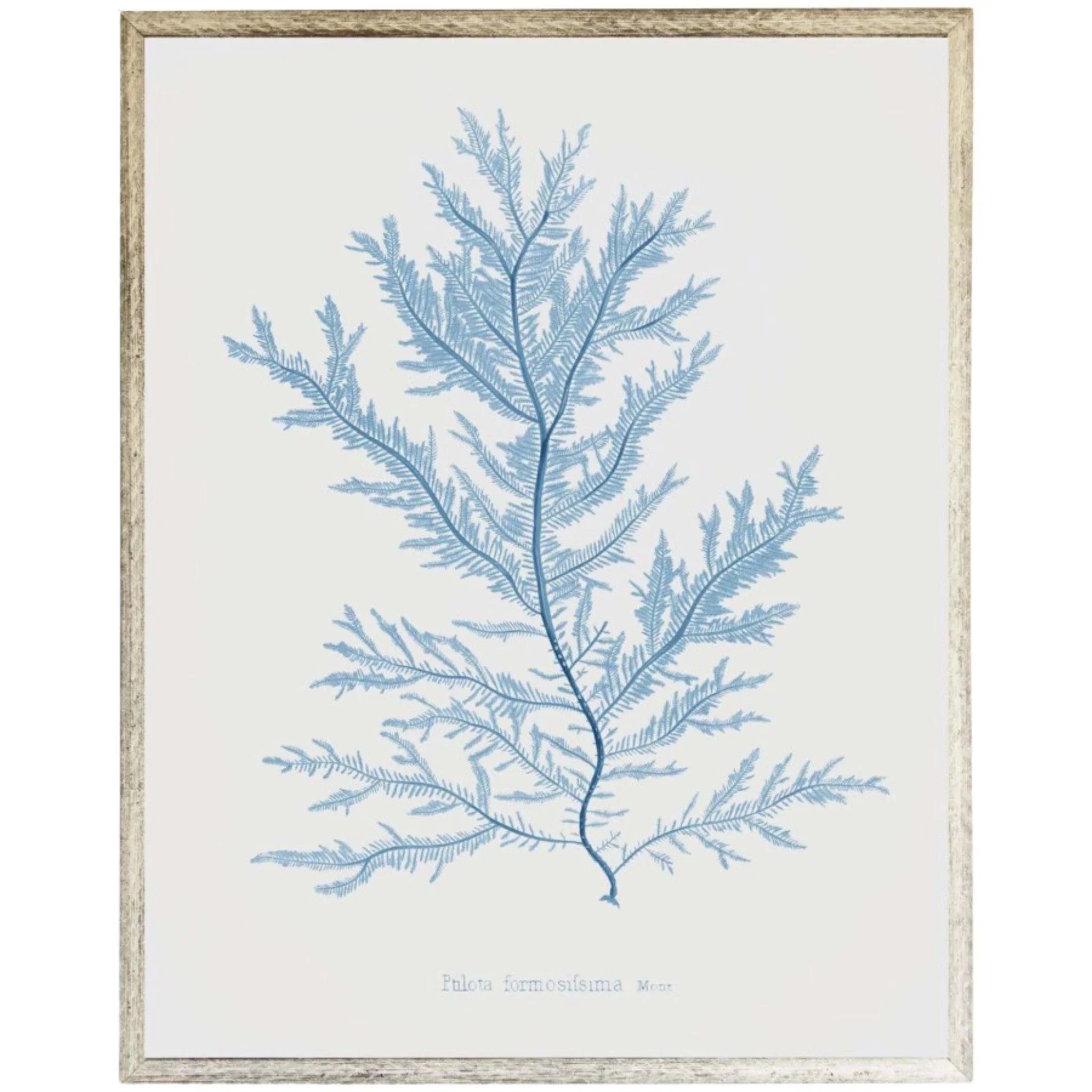 Blue Coral Framed Wall Art - Coastal Beach Decor for Living Room, Bedroom & Office - Ocean Themed Home Decor
