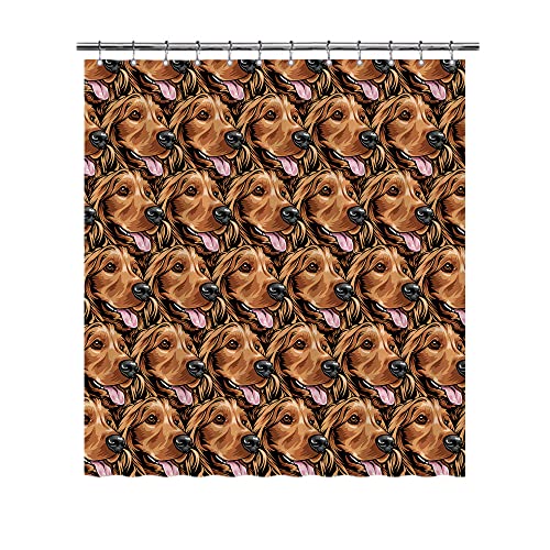Cocker Spaniel-2