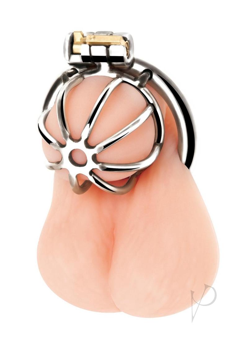 Stainless Steel Cock Chastity Cage for Men - Blue Line Small Size BDSM Restraint Device for Adult Play & Couples Bonding