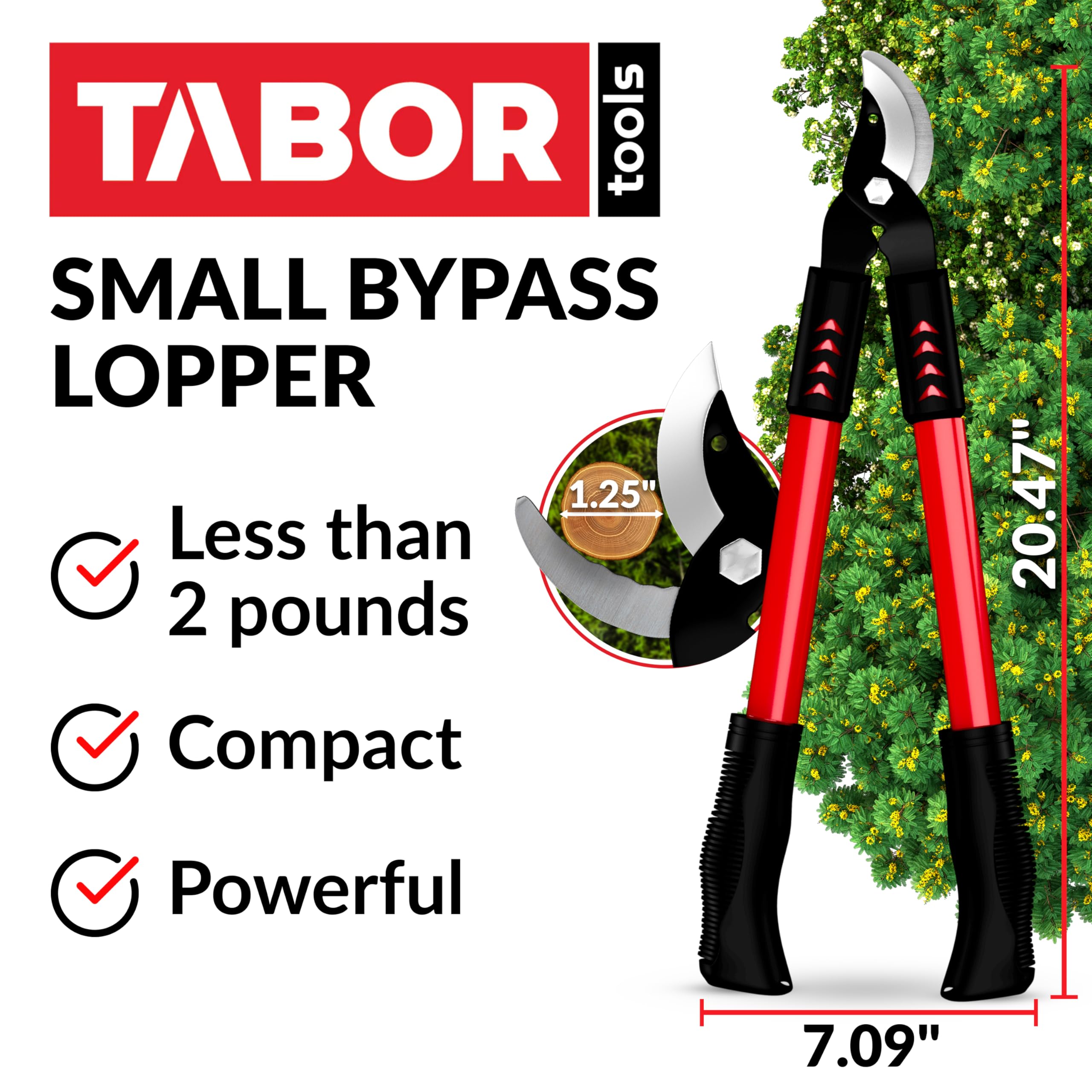 TABOR TOOLS GL18A Small Bypass Lopper - 1.25 Inch Clean Cut Capacity, Short Tree Trimmer for Easy Branch Cutting | Perfect for Gardening, Landscaping, and Pruning Small Trees & Shrubs