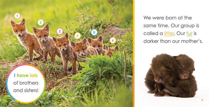 Adorable Baby Foxes Book - ISBN 9781640262461 - Perfect for Kids' Bedtime Stories & Wildlife Education
