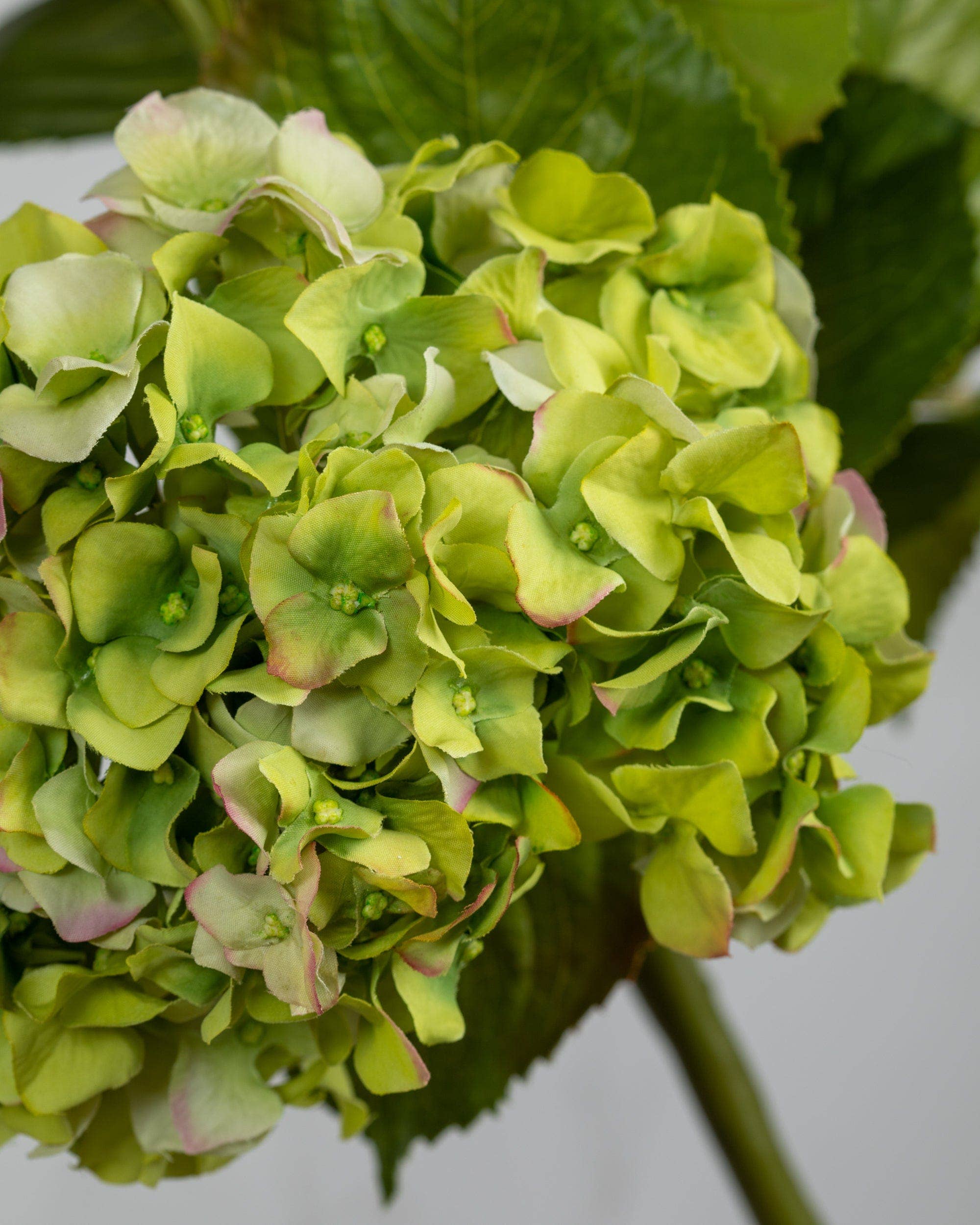Artificial Green Double Hydrangea Silk Flowers - 36