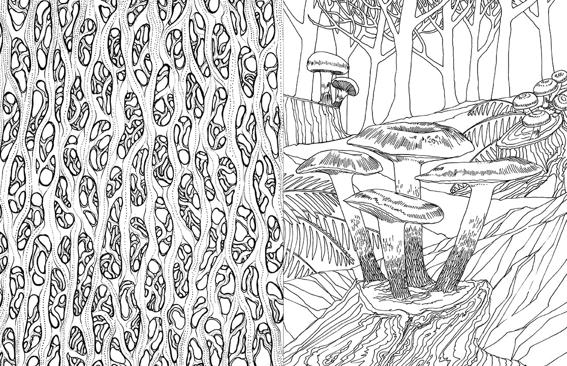 Fantastic Fungi Coloring Book for Adults - Relaxing & Creative Mushroom Designs for Stress Relief - Perfect for Meditation, Art Therapy & Nature Lovers