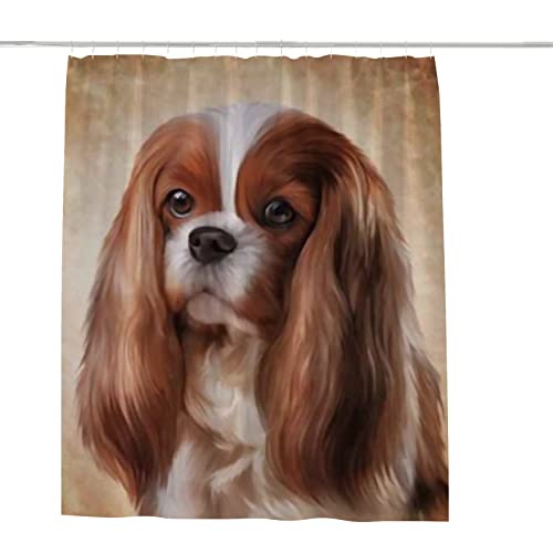 Cavalier King Charles