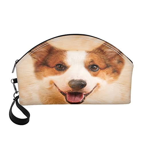 3d Corgi 1