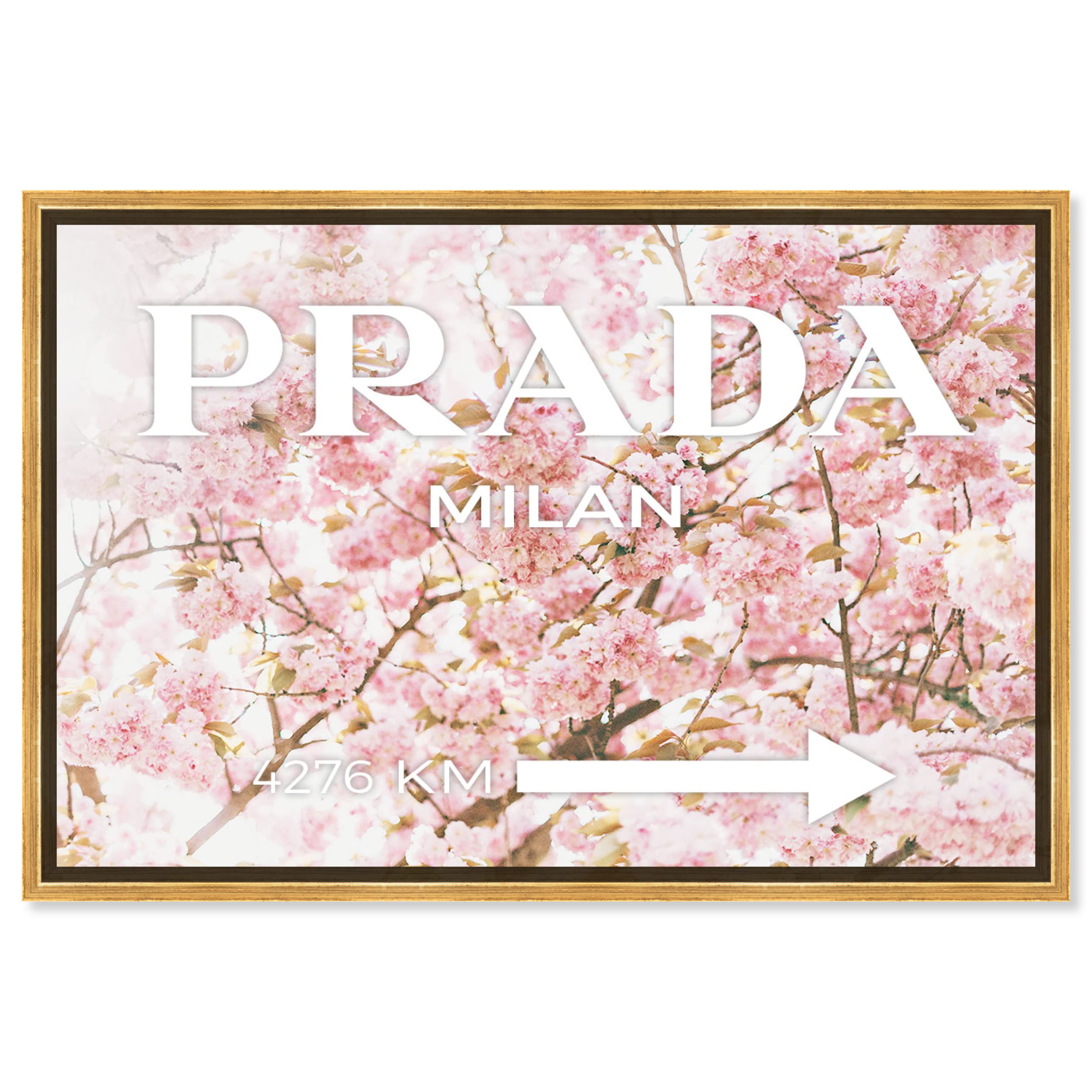 Oliver Gal Artist Co. 'Milan Sakura' Framed Wall Art - 24