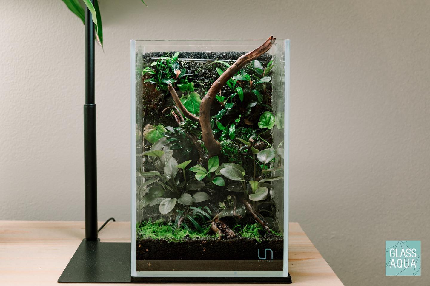 Premium UNS Rimless Tall Glass Aquarium Tank - 10 Gallon Clear Fish Tank for Nano Shrimp & Betta Fish - Perfect for Home Office Desk & Living Room Decor