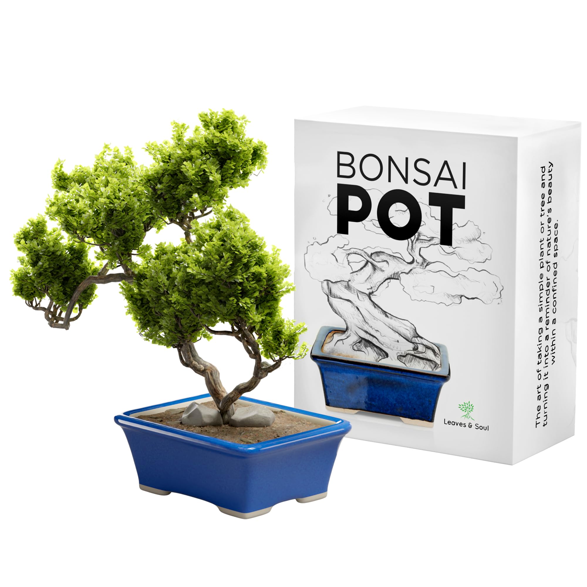 Blue Glazed Ceramic Bonsai Pot - Rectangular Succulent Planter for Small Plants - Indoor/Outdoor Decorative Flower Pot for Home, Office, Balcony & Garden Decor