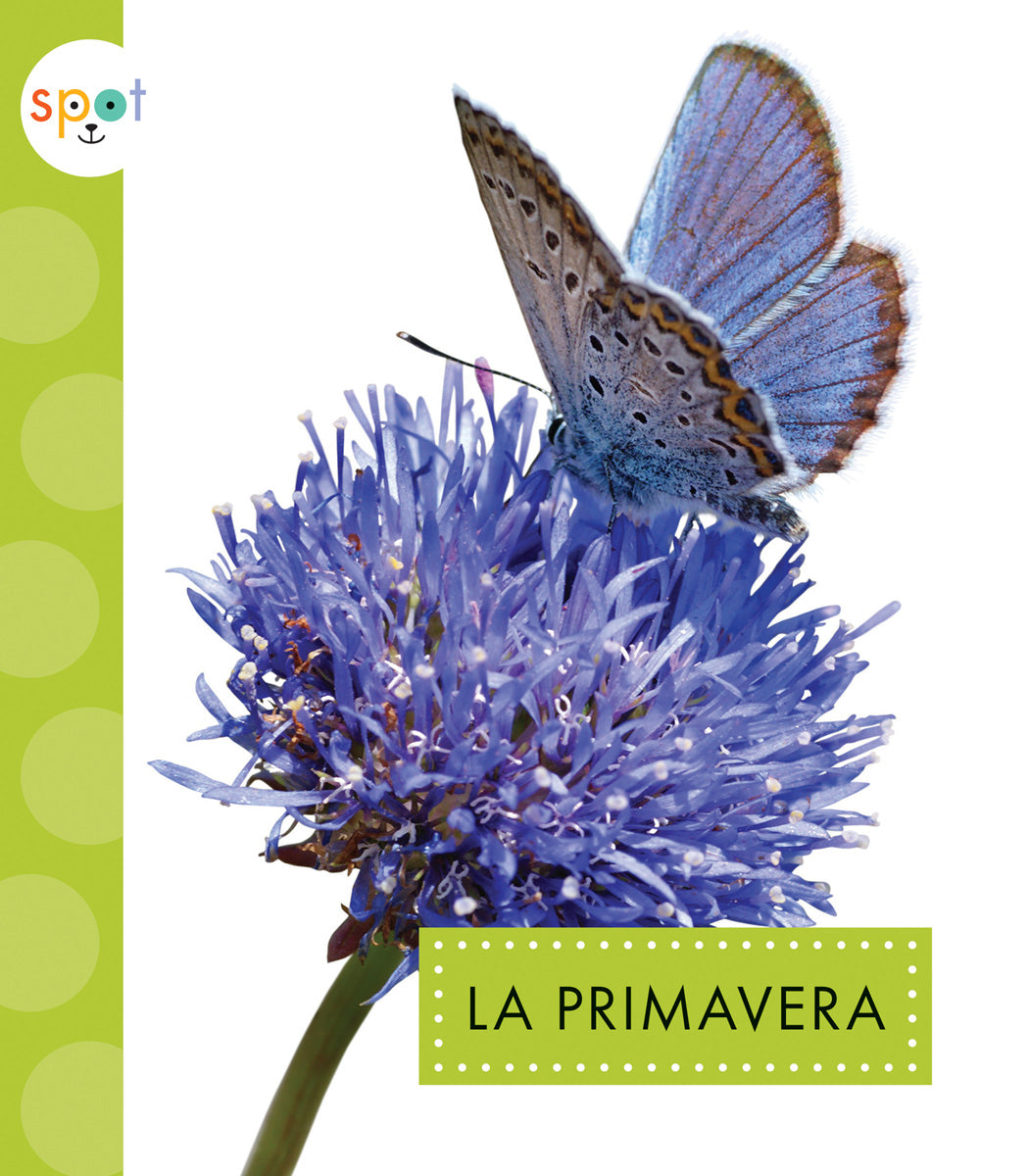 La Primavera - High-Quality Floral Print Dress for Women | Perfect for Spring, Summer, Weddings & Special Occasions