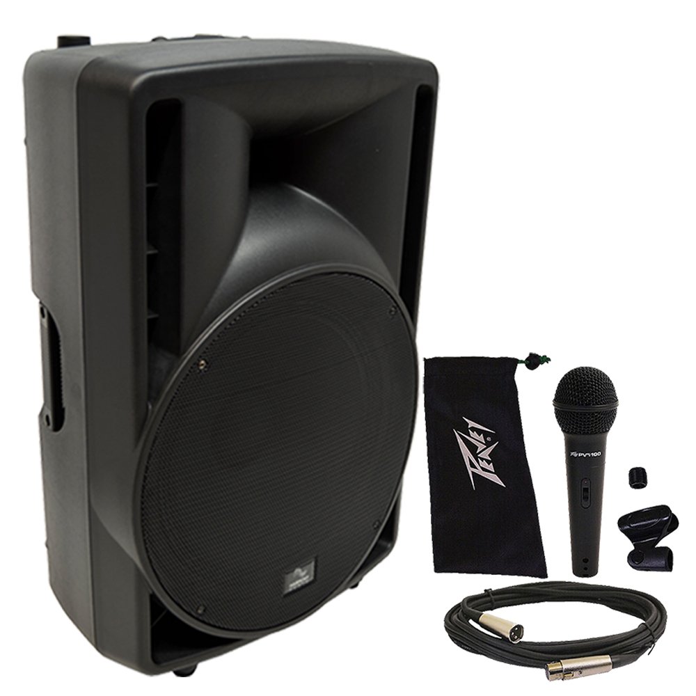 Harmony Audio HA-C15A Pro DJ 15