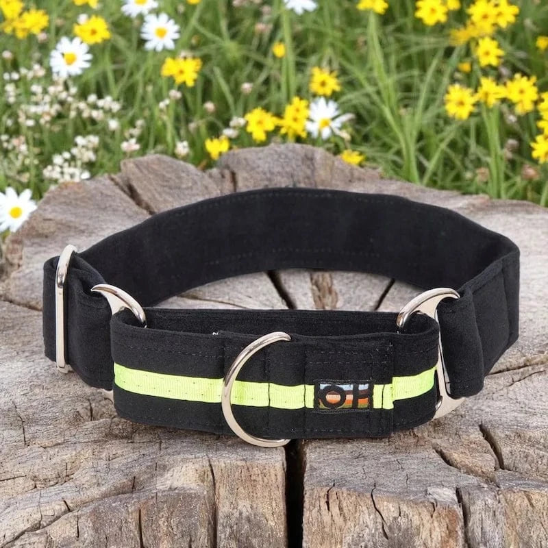 Martingale Dog Collar Adjustable Training Collar for Medium & Large Dogs | Durable Nylon No-Slip Design | Multiple Colors | Perfect for Walking, Training & Outdoor Adventures