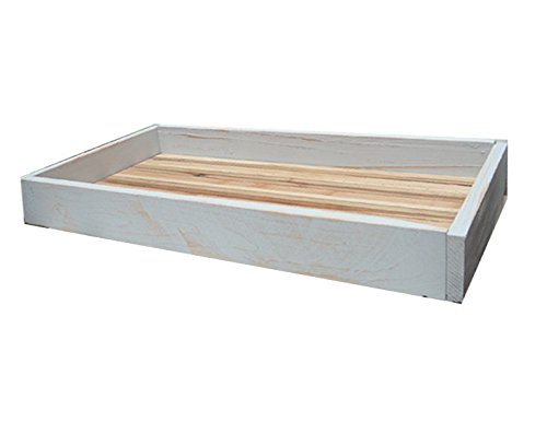 Large 36