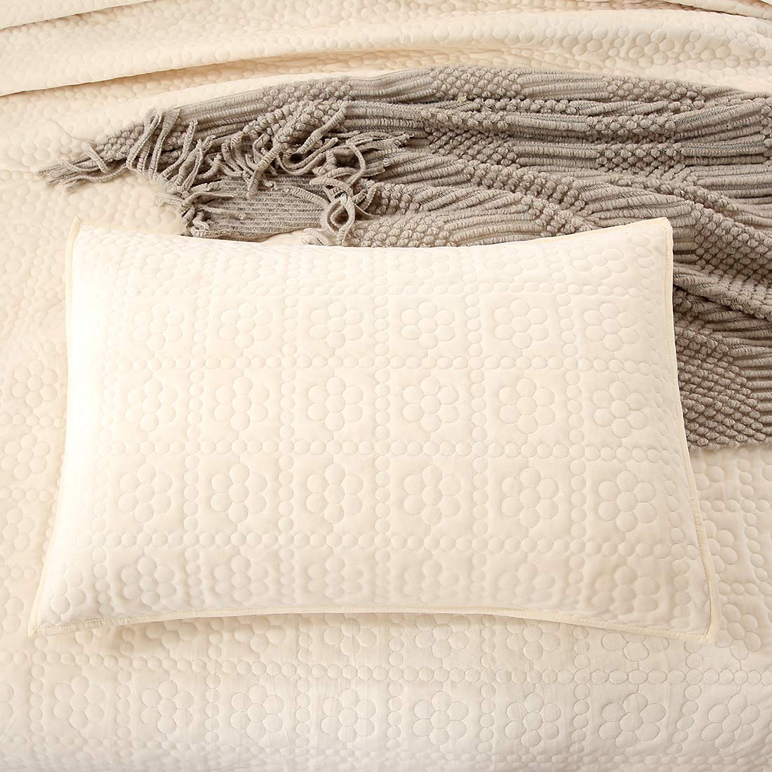 Floral Velvet Quilt Set 3-Piece Queen Size - Super Soft Reversible Bedspread Coverlet with Pillow Shams | Cream Luxury Bedding for Winter Warmth | Perfect for Master Bedroom, Guest Room & Cozy Home Decor