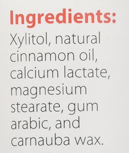 XyloBurst - Sugar Free Xylitol Mints for Fresh Breath & Oral Health | Gluten Free, Vegan, Keto Friendly Mint Candy | Aspartame Free Cinnamon Flavor | 200 Count Jar | Perfect for Travel, Office & After Meals